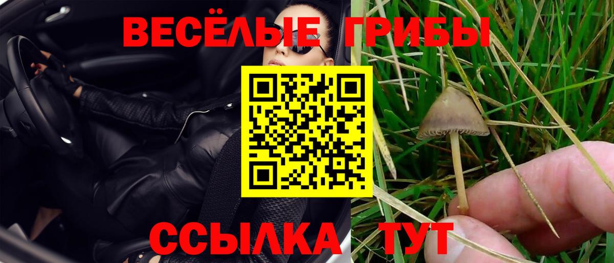 Чехов  Галлюциногенные грибы мухоморы  Вход с VPN 